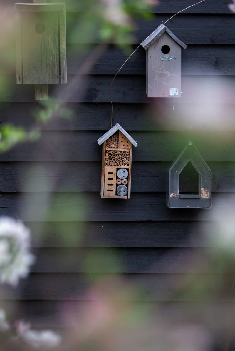 Vogelhäuser im Garten vor einem schwarzen Sichtschutzzaun