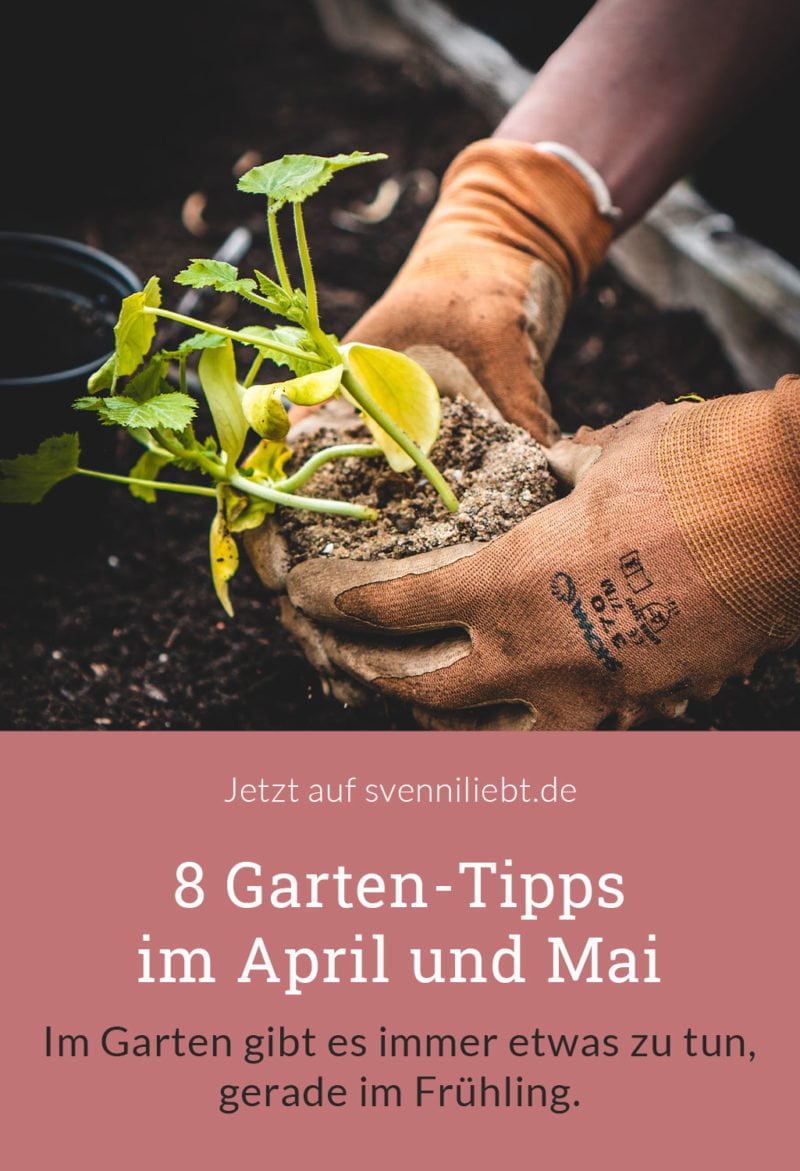 8 Garten-Tipps im April und Mai