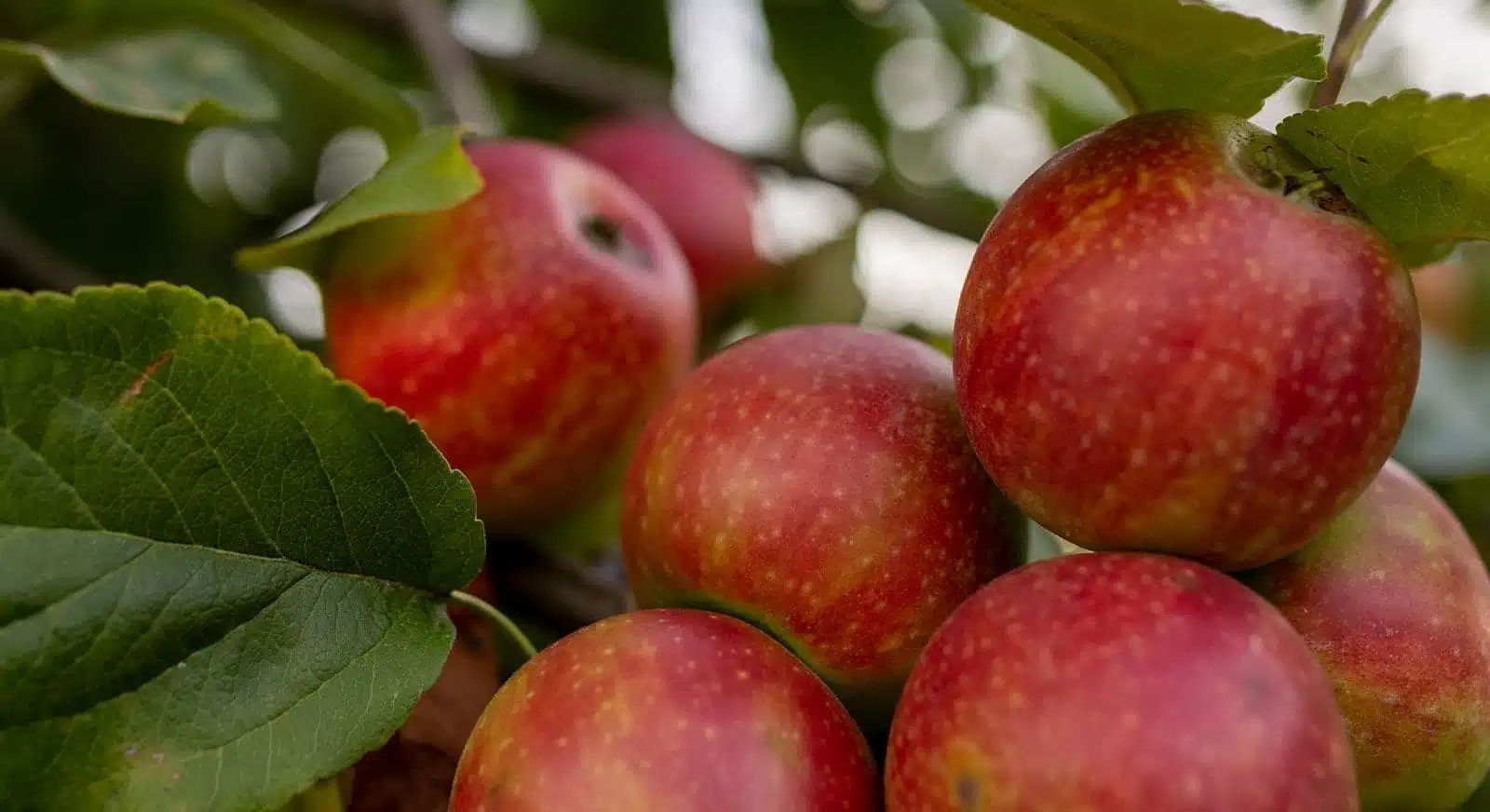 Rückschau September