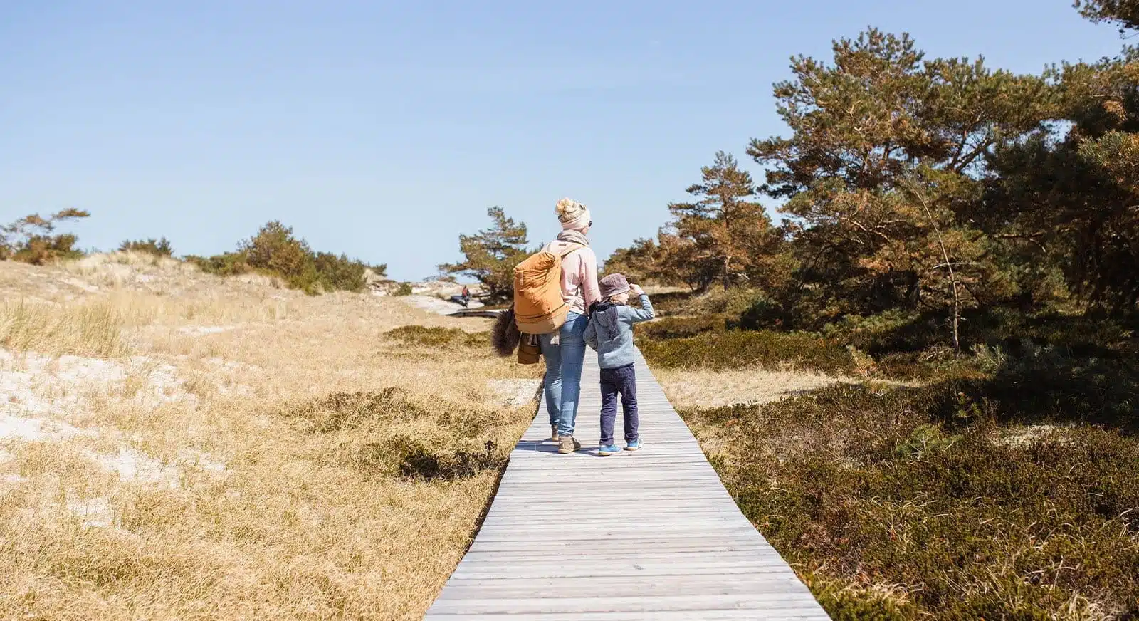 Familienurlaub Ostsee: 8 Tipps - Entdeckt Fischland Darss Zingst