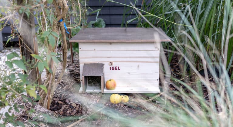 Ein Igelhaus für den Garten bauen – so gehts ganz einfach!