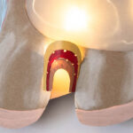 Einhorn Laterne basteln aus Papptellern mit Vorlage