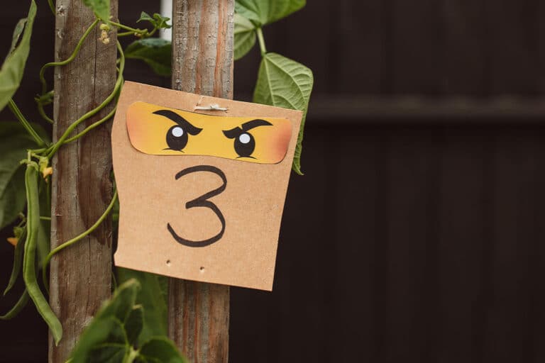 Ninjaog Geburtstag: Spiele und Schatzsuche