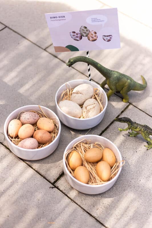 Dino Geburtstag: 25 einfache Ideen für Einladung, Deko, Spiele, Schatzsuche und Kuchen 30 30 Dino Geburtstag Spiel: Fossilien erforschen