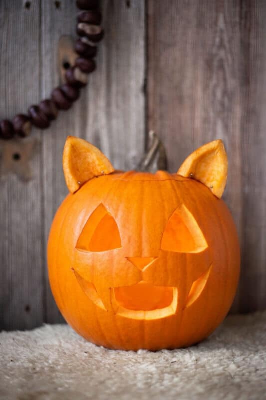 Kürbis schnitzen: coole Vorlagen für deine Halloween-Deko 3 3 Halloween Kürbis als Katze