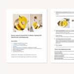 Bienen Laterne basteln